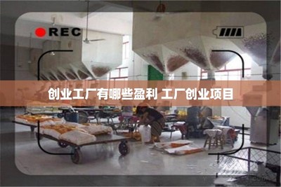 創(chuàng)業(yè)工廠的盈利密碼 調(diào)味品生產(chǎn)項目的機遇與挑戰(zhàn)